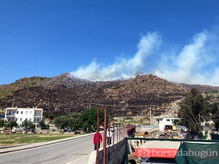 Bodrum'da yangında 1,5 hektar alan tahrip oldu
