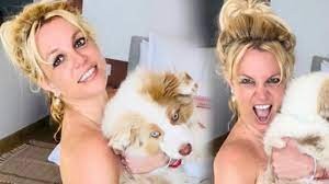  Britney Spears'dan ardı ardına çıplak pozlar...