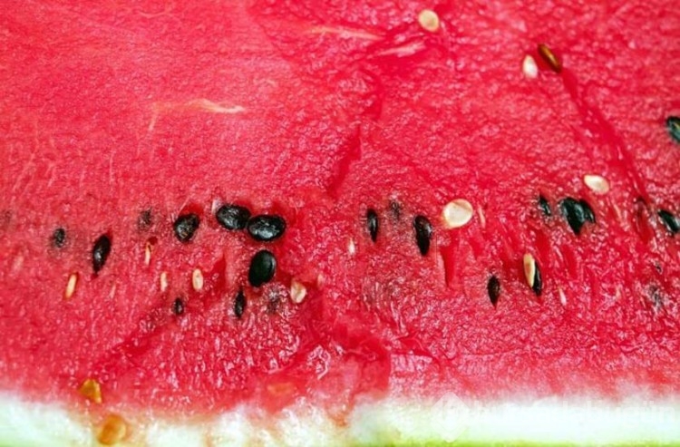Karpuzun bilinmeyen faydaları nelerdir?
