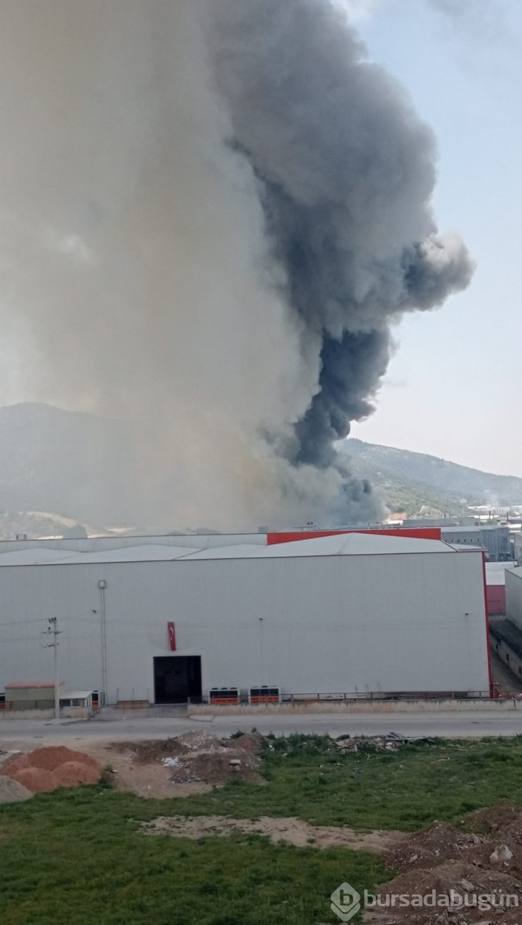 Bursa'da fabrika yangını
