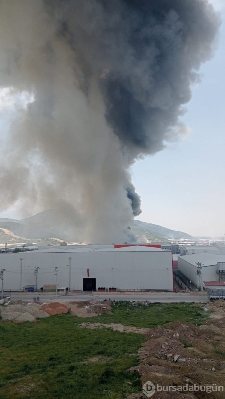 Bursa'da fabrika yangını