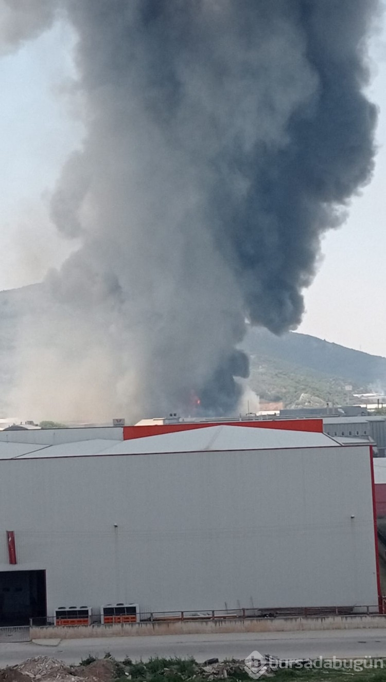 Bursa'da fabrika yangını