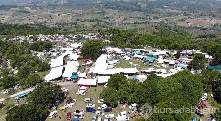 Bursa'da dağ başında yılda bir kez düzenleniyor, akın akın geliyorlar