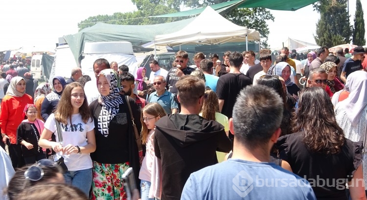 Bursa'da dağ başında yılda bir kez düzenleniyor, akın akın geliyorlar