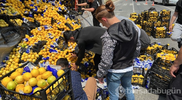 Düzce'de TIR'daki limonlar yola savruldu, vatandaşlar yardıma koştu