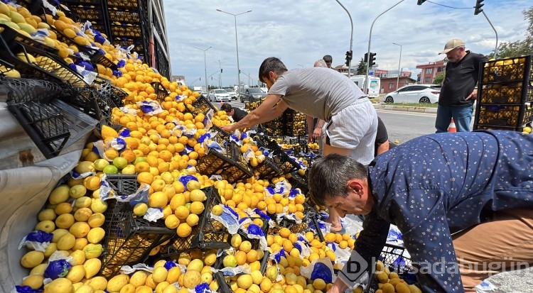 Düzce'de TIR'daki limonlar yola savruldu, vatandaşlar yardıma koştu