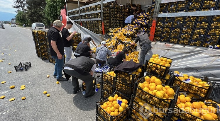 Düzce'de TIR'daki limonlar yola savruldu, vatandaşlar yardıma koştu