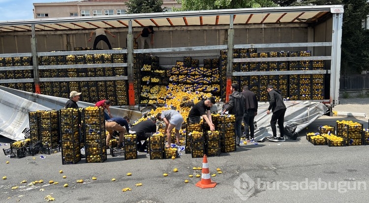 Düzce'de TIR'daki limonlar yola savruldu, vatandaşlar yardıma koştu