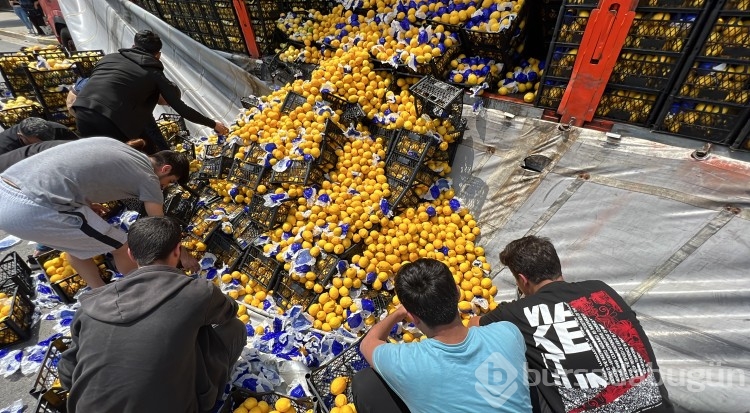 Düzce'de TIR'daki limonlar yola savruldu, vatandaşlar yardıma koştu