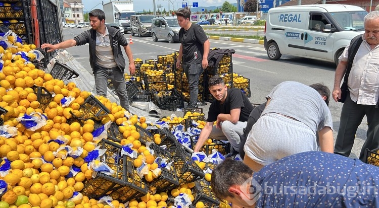 Düzce'de TIR'daki limonlar yola savruldu, vatandaşlar yardıma koştu
