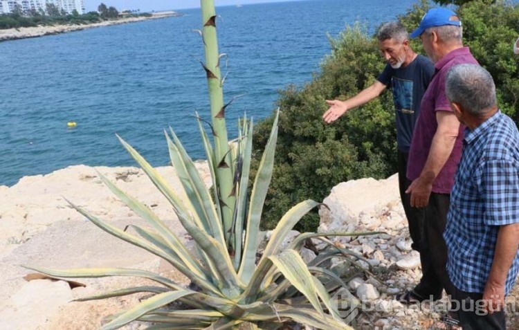 50 yıl sonra bir ilk!
