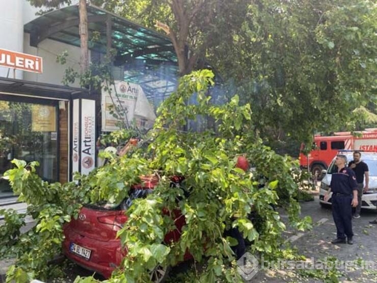 Kadıköy'de ilginç anlar!