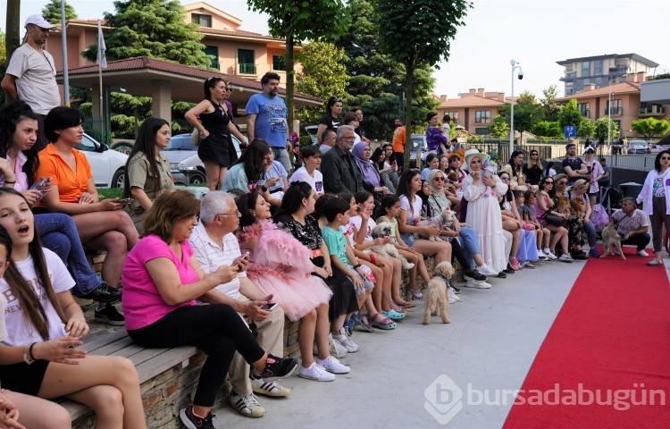 Pati dostlarına muhteşem yarışma 