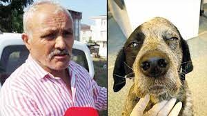 Köpeğin canına kıyan şahıs cezasız kalmadı...
