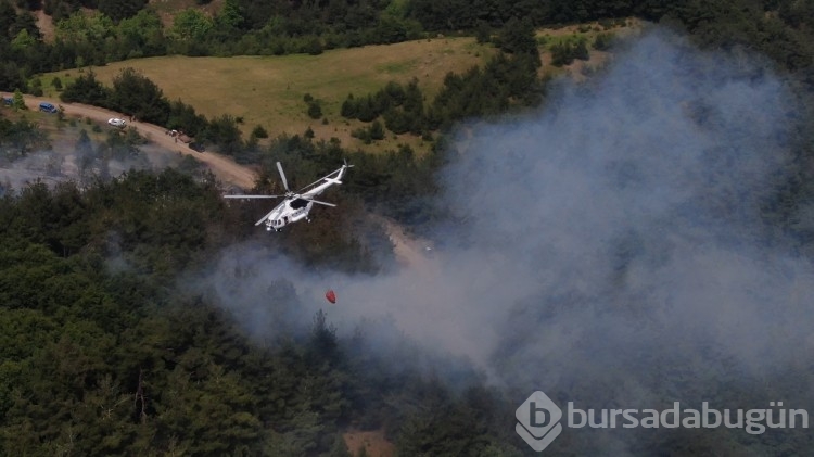 Bursa'da korkutan orman yangını