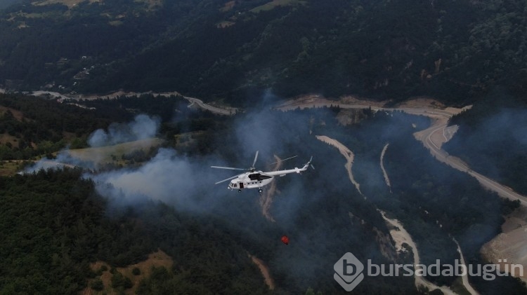 Bursa'da korkutan orman yangını