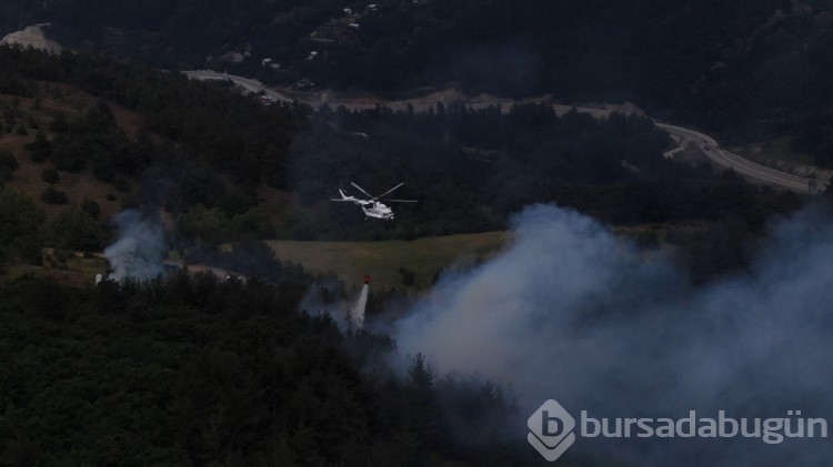 Bursa'da korkutan orman yangını