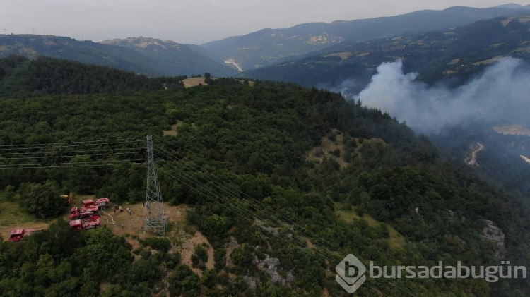 Bursa'da korkutan orman yangını