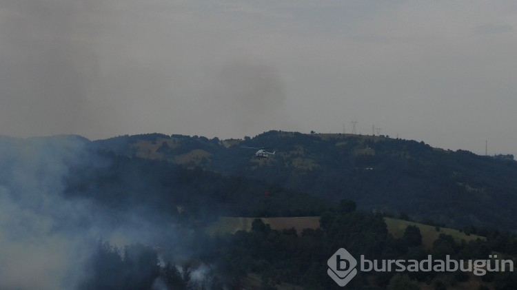 Bursa'da korkutan orman yangını