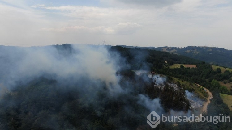 Bursa'da korkutan orman yangını