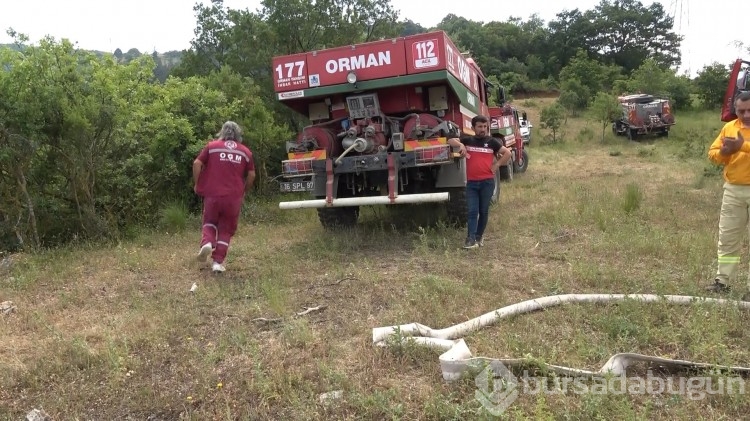Bursa'da korkutan orman yangını