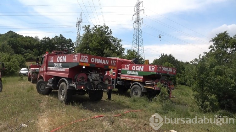 Bursa'da korkutan orman yangını