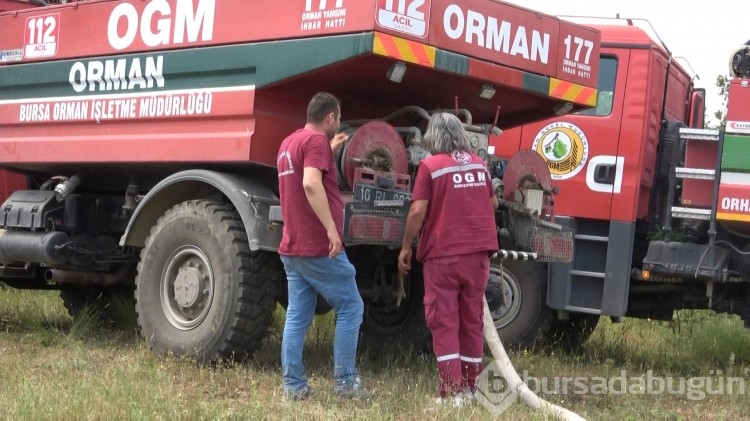 Bursa'da korkutan orman yangını
