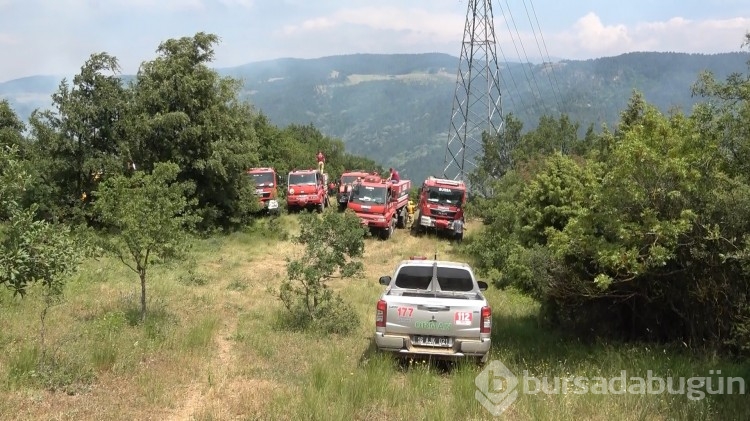 Bursa'da korkutan orman yangını
