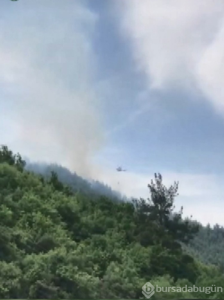 Bursa'da korkutan orman yangını