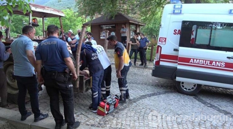 En acı yolculuk! 