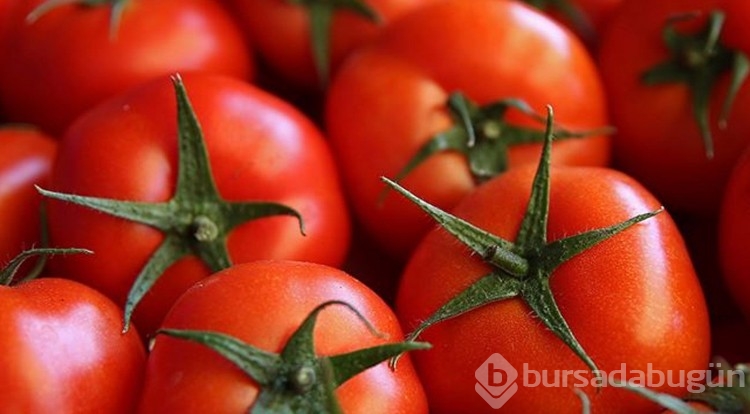 Bu besinleri mikrodalga fırında ısıtmayın!
