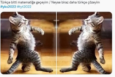 Öğrencilerin YKS yorumları okuyanları güldürdü

