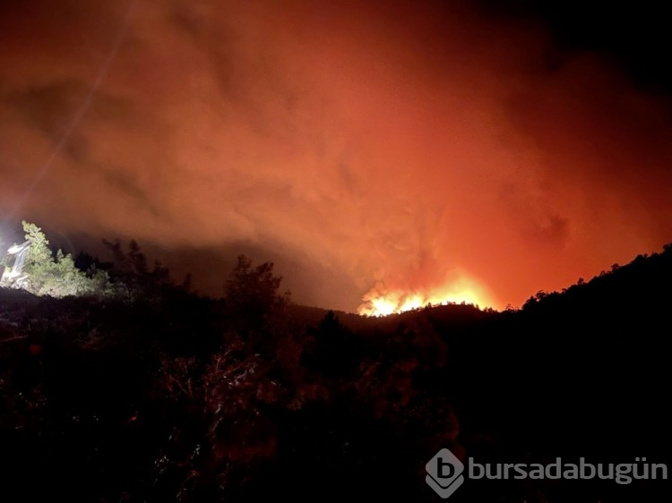Marmaris'te orman yangını