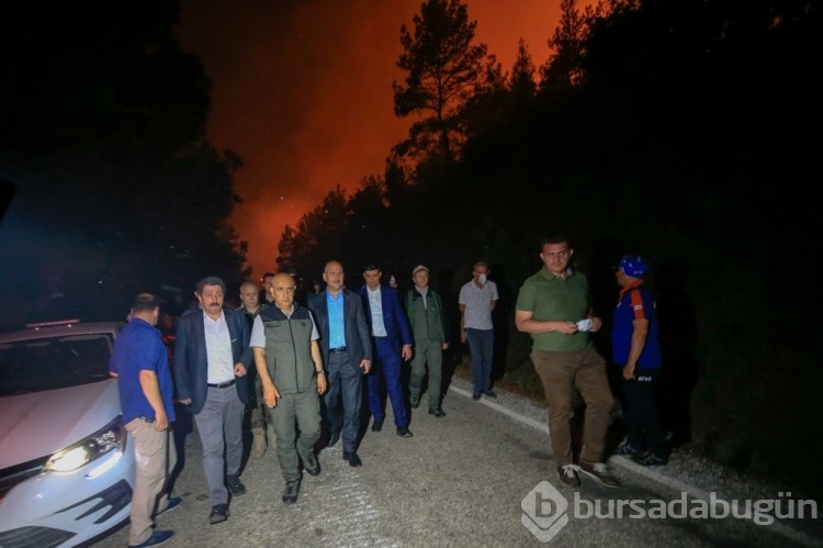 Marmaris'te orman yangını
