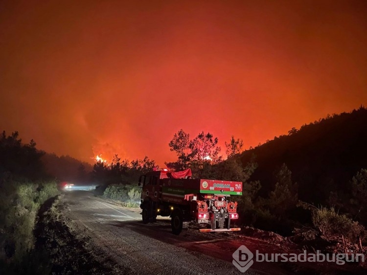 Marmaris'te orman yangını