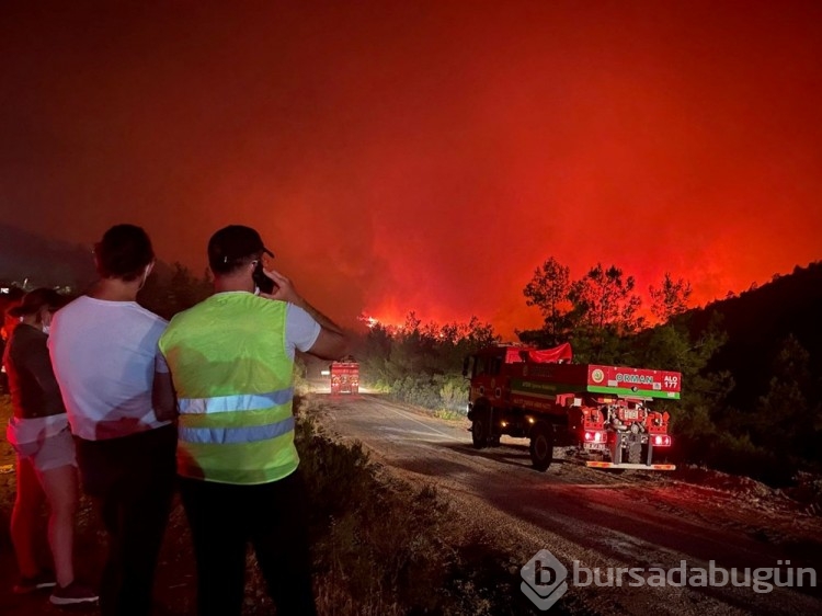 Marmaris'te orman yangını