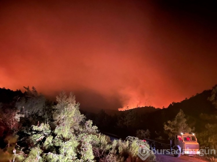Marmaris'te orman yangını