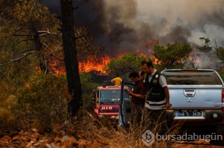 Marmaris'te orman yangını