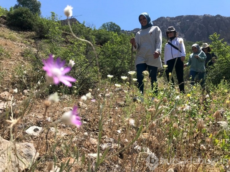  İpek Yolu'nun Kemaliye'deki kalıntıları turistleri kendine çekti