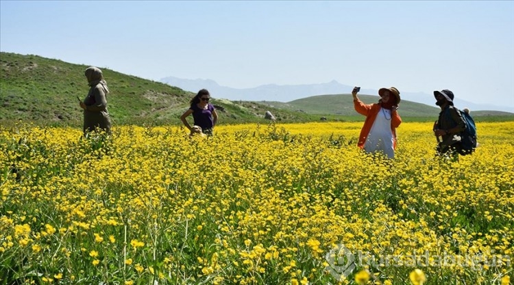 Doğaseverlerin yeni rotası Hakkari