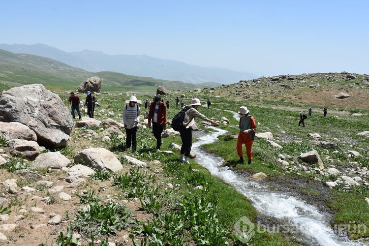 Doğaseverlerin yeni rotası Hakkari