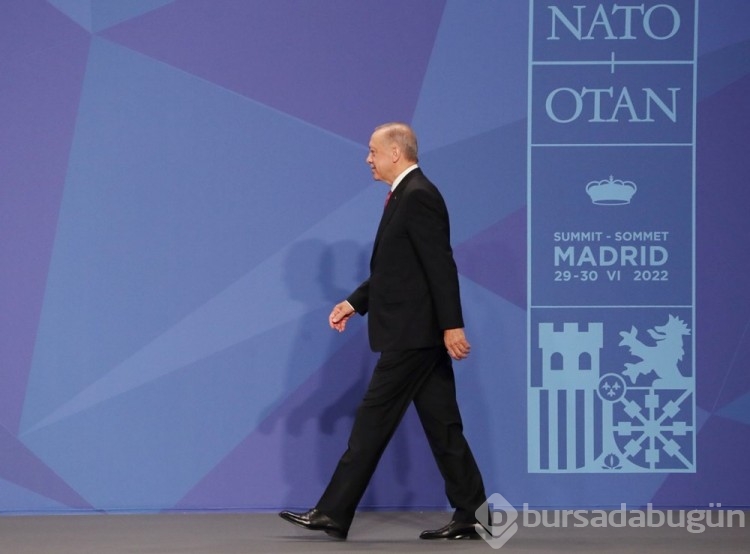 NATO'ya hangi ülkeler üye?