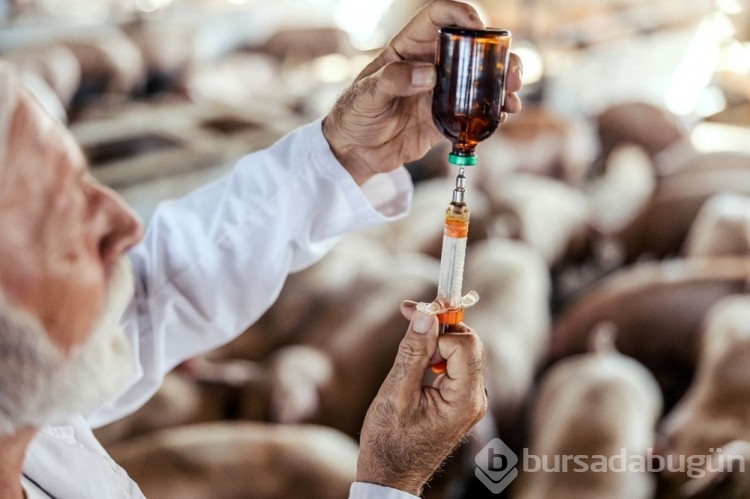 Bilim insanlarından süpervirüs uyarısı