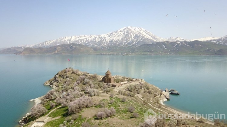 Akdamar Adası ağaçlarının çiçekleriyle renklendi