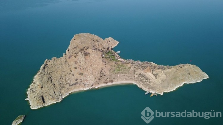 Akdamar Adası ağaçlarının çiçekleriyle renklendi