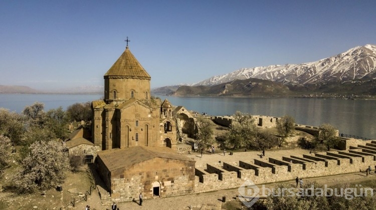 Akdamar Adası ağaçlarının çiçekleriyle renklendi