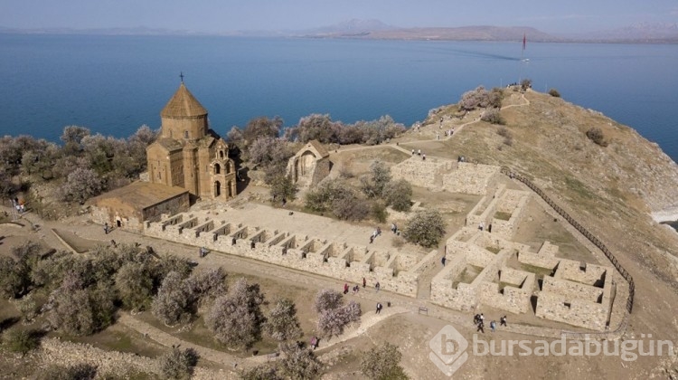 Akdamar Adası ağaçlarının çiçekleriyle renklendi