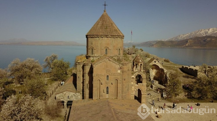 Akdamar Adası ağaçlarının çiçekleriyle renklendi