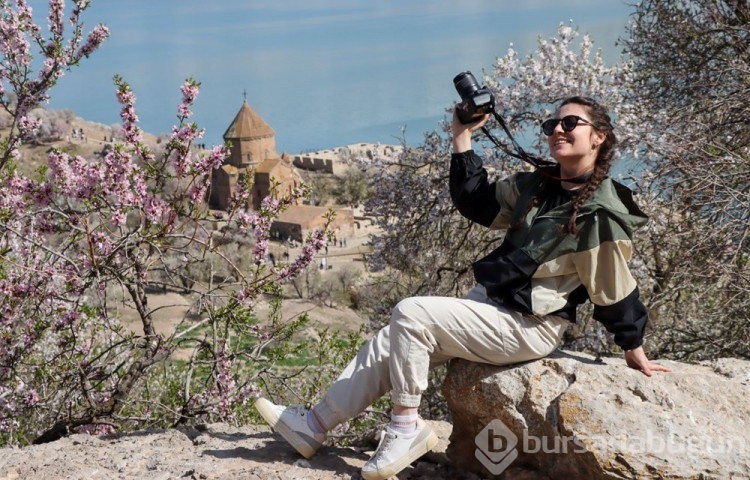 Akdamar Adası ağaçlarının çiçekleriyle renklendi