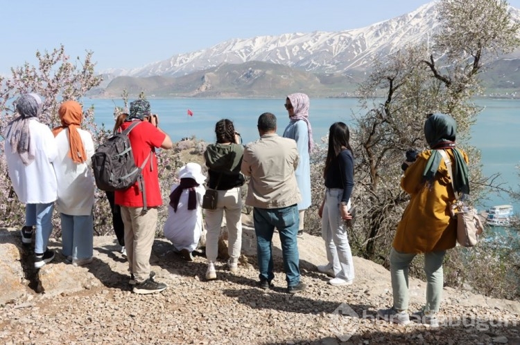 Akdamar Adası ağaçlarının çiçekleriyle renklendi